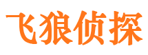 和平飞狼私家侦探公司